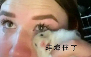 1641885031FCBA.jpg 1.jpg